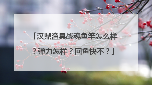 汉鼎渔具战魂鱼竿怎么样？弹力怎样？回鱼快不？