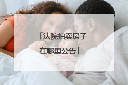 法院拍卖房子在哪里公告