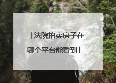 法院拍卖房子在哪个平台能看到