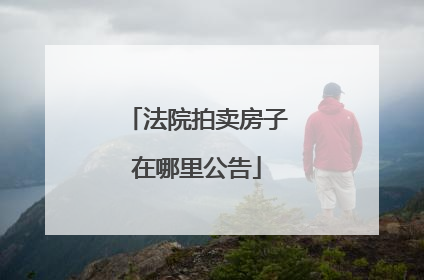 法院拍卖房子在哪里公告