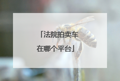 法院拍卖车在哪个平台