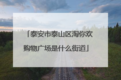 泰安市泰山区淘你欢购物广场是什么街道