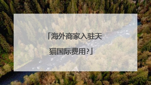 海外商家入驻天猫国际费用?
