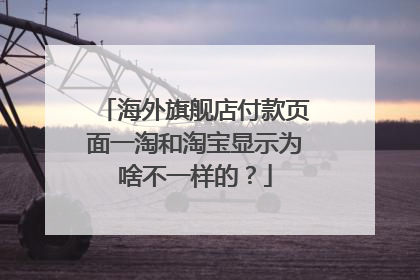 海外旗舰店付款页面一淘和淘宝显示为啥不一样的?