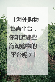 海外购物也需平台,你知道哪些海淘购物的平台呢?