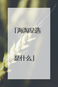海淘星选是什么