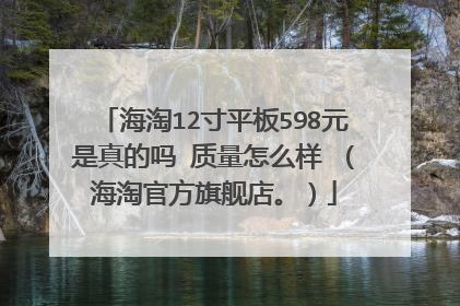 海淘12寸平板598元是真的吗 质量怎么样 （海淘官方旗舰店。）