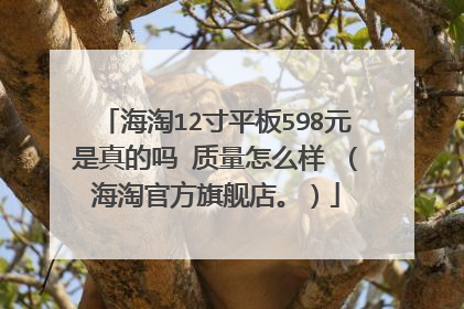 海淘12寸平板598元是真的吗 质量怎么样 (海淘官方旗舰店。)