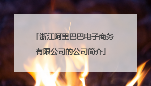 浙江阿里巴巴电子商务有限公司的公司简介