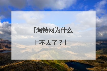 淘特网为什么上不去了?