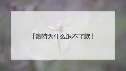 淘特为什么退不了款