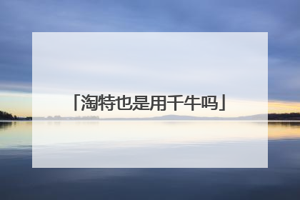 淘特也是用千牛吗