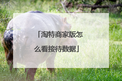 淘特商家版怎么看接待数据