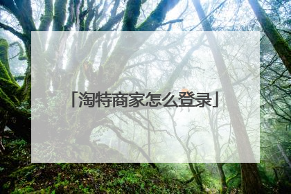 淘特商家怎么登录