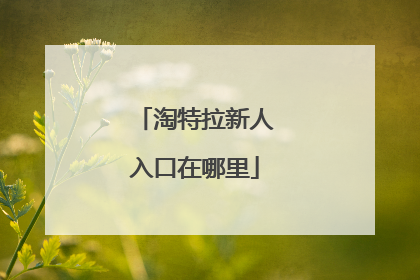 淘特拉新人入口在哪里