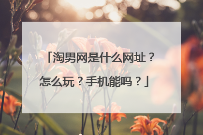 淘男网是什么网址？怎么玩？手机能吗？