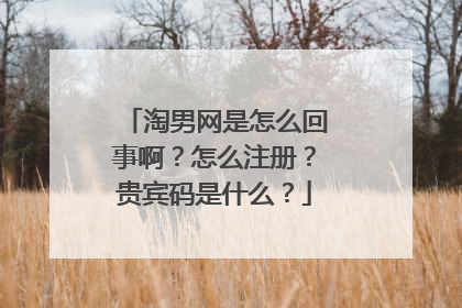淘男网是怎么回事啊？怎么注册？贵宾码是什么？