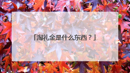 淘礼金是什么东西？