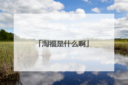 淘福是什么啊