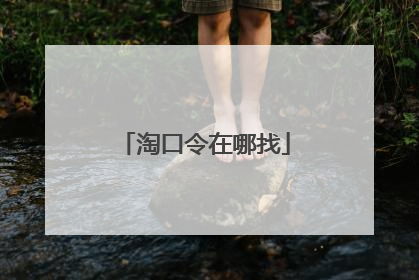 淘口令在哪找