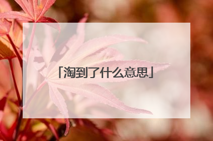 淘到了什么意思