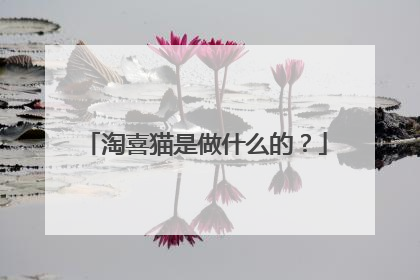 淘喜猫是做什么的?