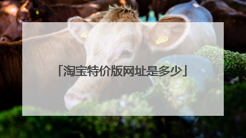 淘宝特价版网址是多少