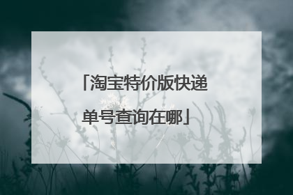 淘宝特价版快递单号查询在哪