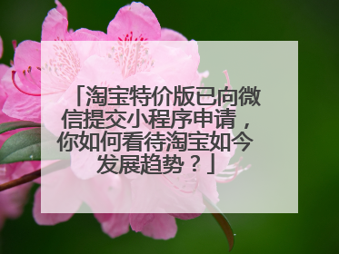 淘宝特价版已向微信提交小程序申请,你如何看待淘宝如今发展趋势?