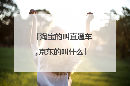 淘宝的叫直通车,京东的叫什么