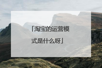 淘宝的运营模式是什么呀