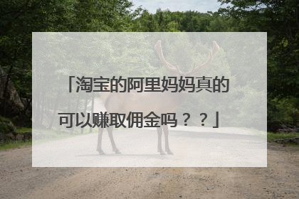 淘宝的阿里妈妈真的可以赚取佣金吗??