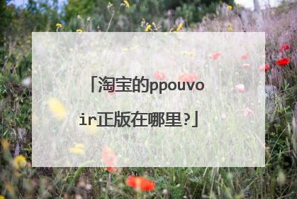 淘宝的ppouvoir正版在哪里?