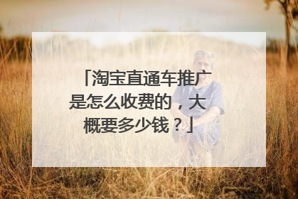 淘宝直通车推广是怎么收费的,大概要多少钱?