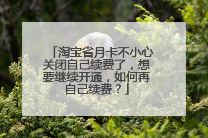 淘宝省月卡不小心关闭自己续费了,想要继续开通,如何再自己续费?