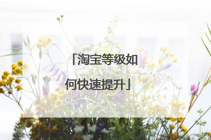 淘宝等级如何快速提升