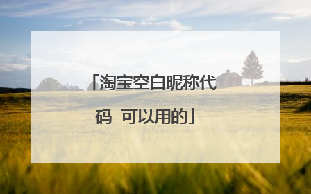 淘宝空白昵称代码 可以用的
