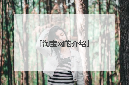 淘宝网的介绍