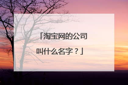 淘宝网的公司叫什么名字?