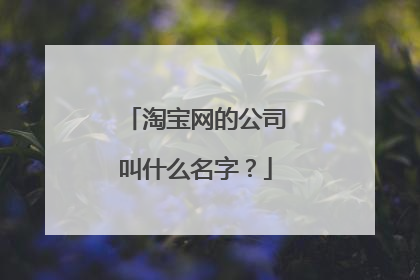 淘宝网的公司叫什么名字?
