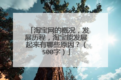 淘宝网的概况,发展历程,淘宝能发展起来有哪些原因?(500字)