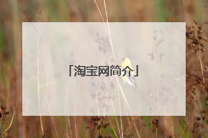 淘宝网简介