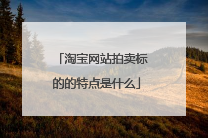 淘宝网站拍卖标的的特点是什么