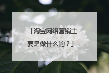 淘宝网络营销主要是做什么的?