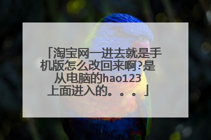 淘宝网一进去就是手机版怎么改回来啊?是从电脑的hao123上面进入的。。。