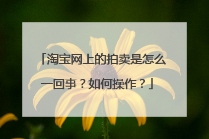淘宝网上的拍卖是怎么一回事？如何操作？