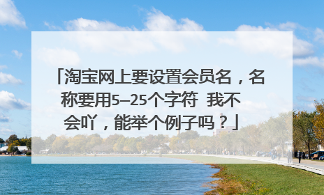 淘宝网上要设置会员名,名称要用5—25个字符 我不会吖,能举个例子吗?