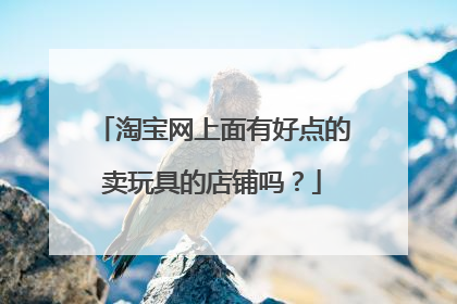 淘宝网上面有好点的卖玩具的店铺吗?