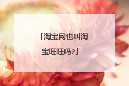 淘宝网也叫淘宝旺旺吗?