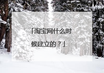 淘宝网什么时候建立的?